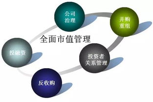 上市公司市值管理的六大模式詳解 天瓴投資專業視角解讀